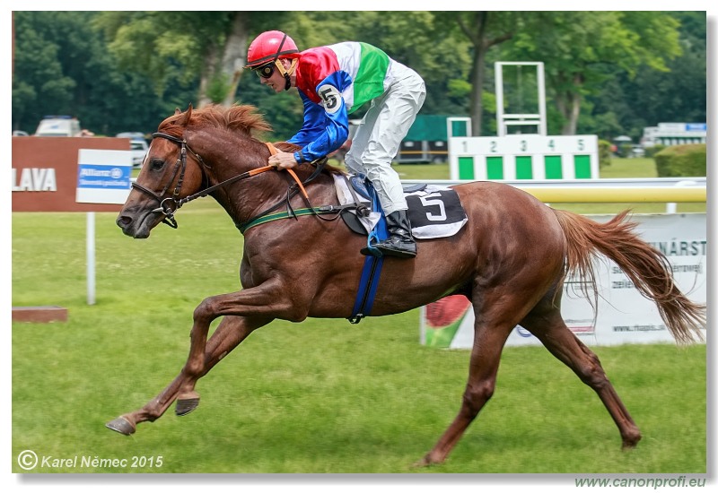 Bratislava - 28. júna 2015 