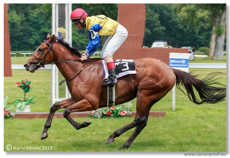 Bratislava - 28. júna 2015 