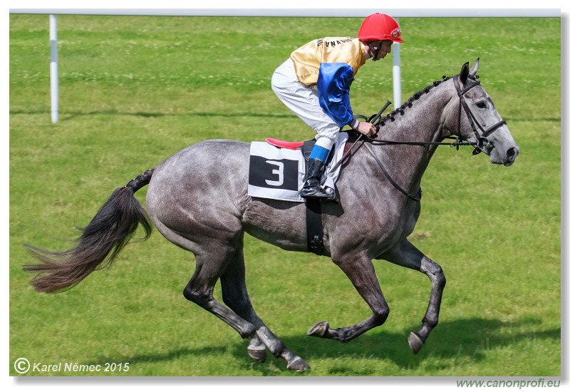 Bratislava - 28. júna 2015 