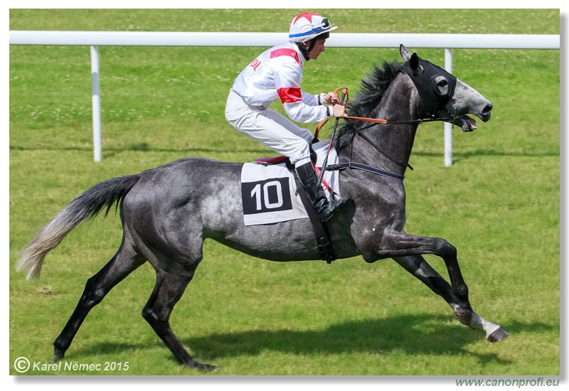 Bratislava - 28. júna 2015 