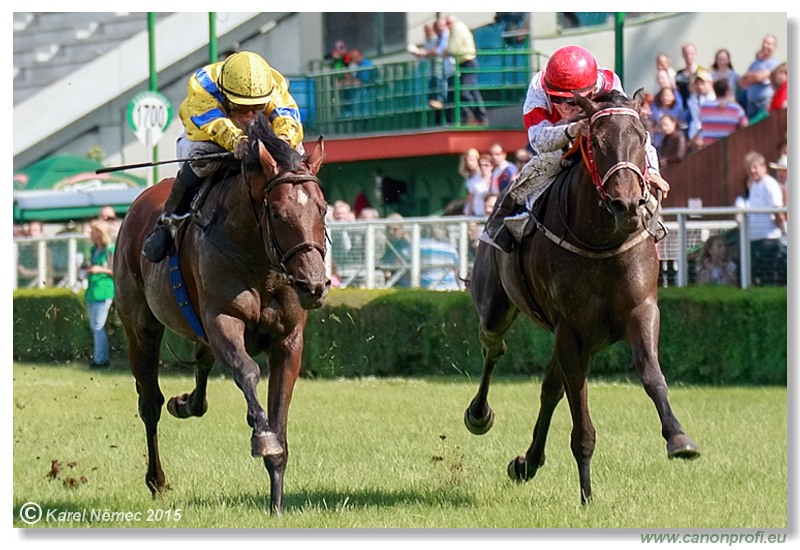 Bratislava - 28. júna 2015 
