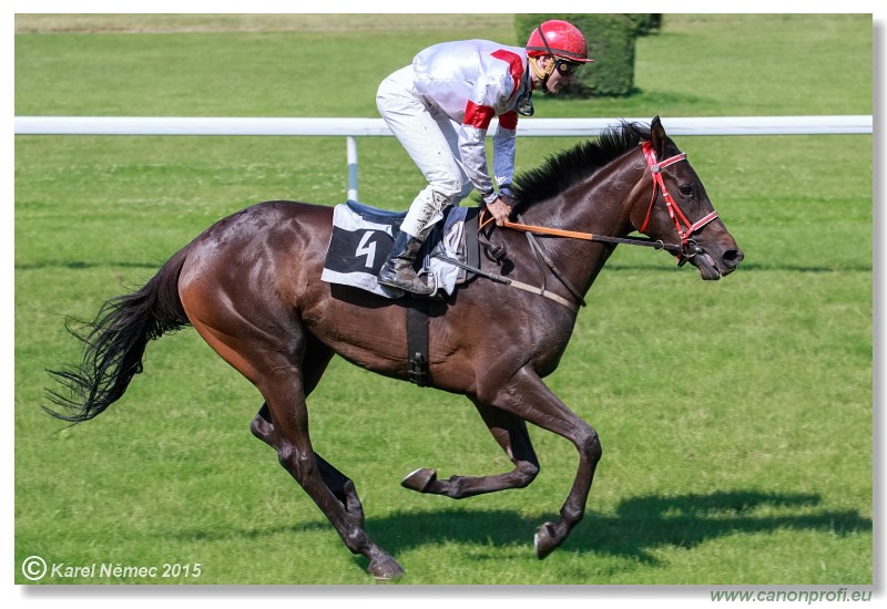 Bratislava - 28. júna 2015 