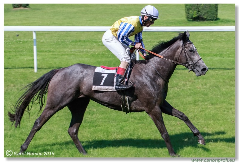 Bratislava - 28. júna 2015 