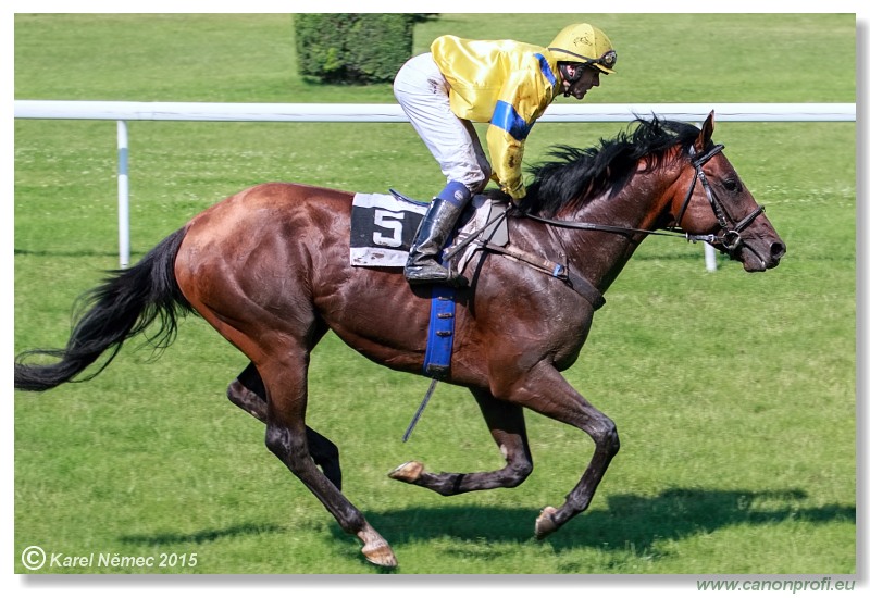 Bratislava - 28. júna 2015 