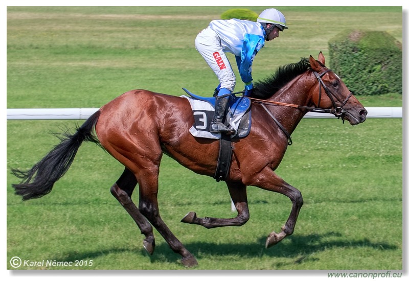 Bratislava - 28. júna 2015 