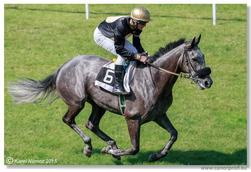 Bratislava - 28. júna 2015 
