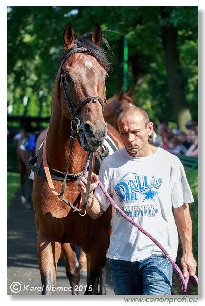 Bratislava - 28. júna 2015 