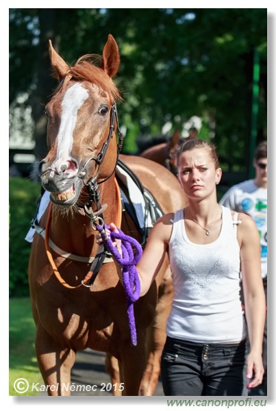 Bratislava - 28. júna 2015 
