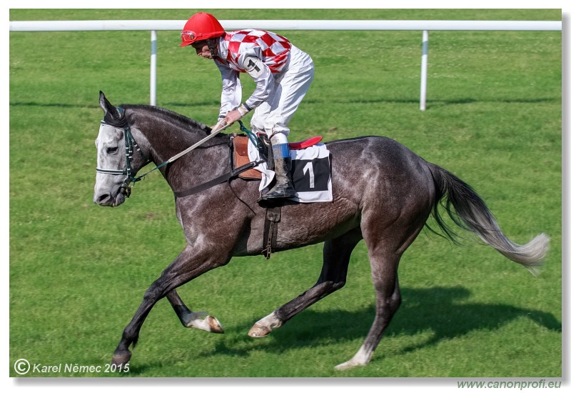 Bratislava - 28. júna 2015 