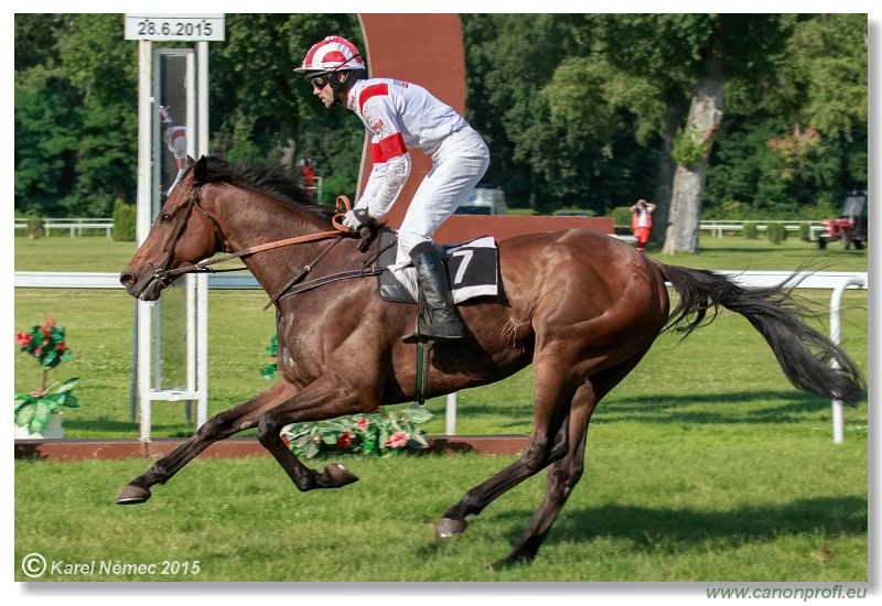 Bratislava - 28. júna 2015 