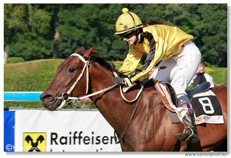 Bratislava - 28. júna 2015 