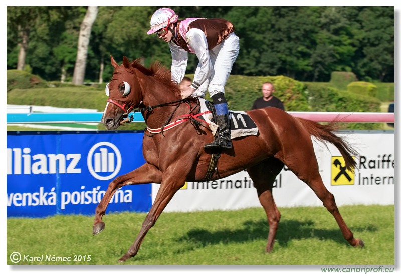 Bratislava - 28. júna 2015 