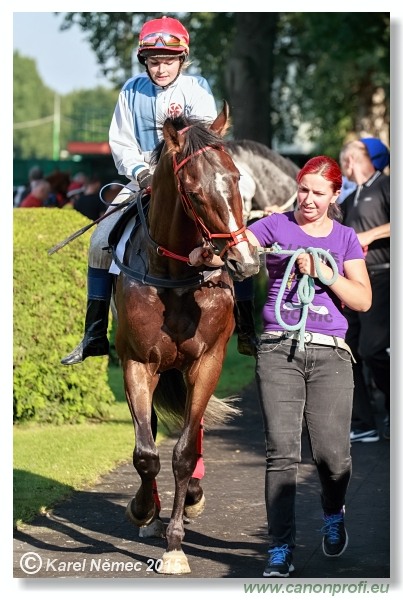 Bratislava - 28. júna 2015 