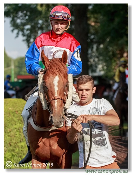 Bratislava - 28. júna 2015 