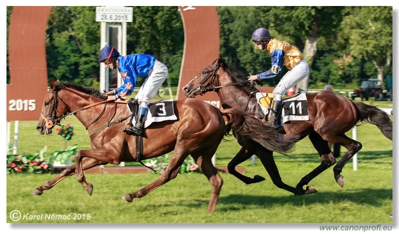 Bratislava - 28. júna 2015 