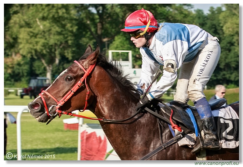 Bratislava - 28. júna 2015 