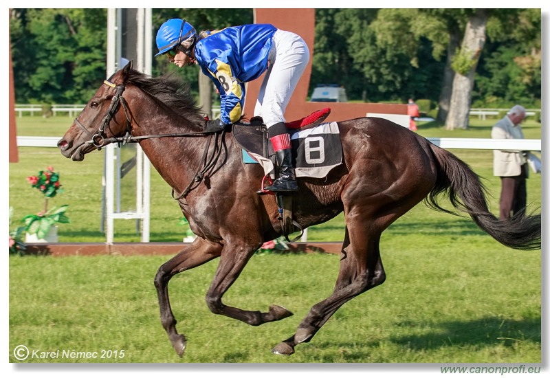 Bratislava - 28. júna 2015 