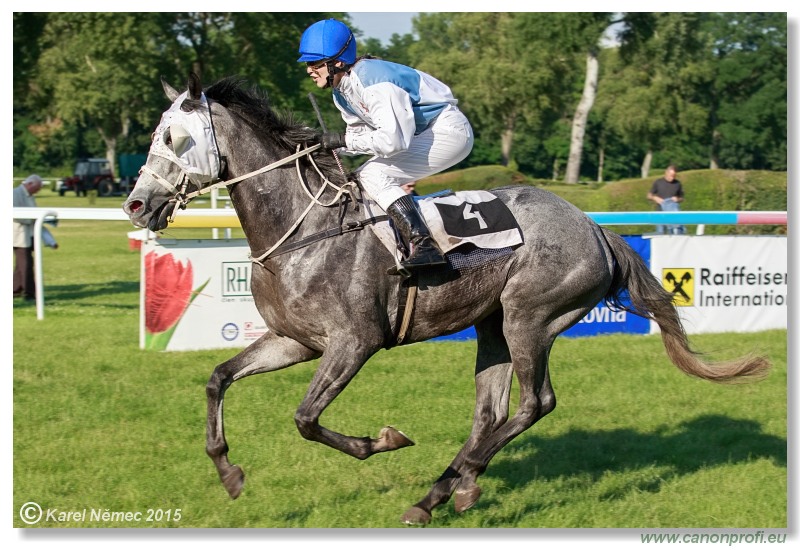 Bratislava - 28. júna 2015 