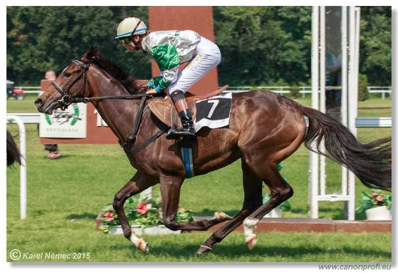 Bratislava - 19. júla 2015 