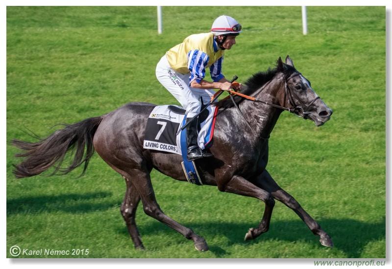 Bratislava - 19. júla 2015 