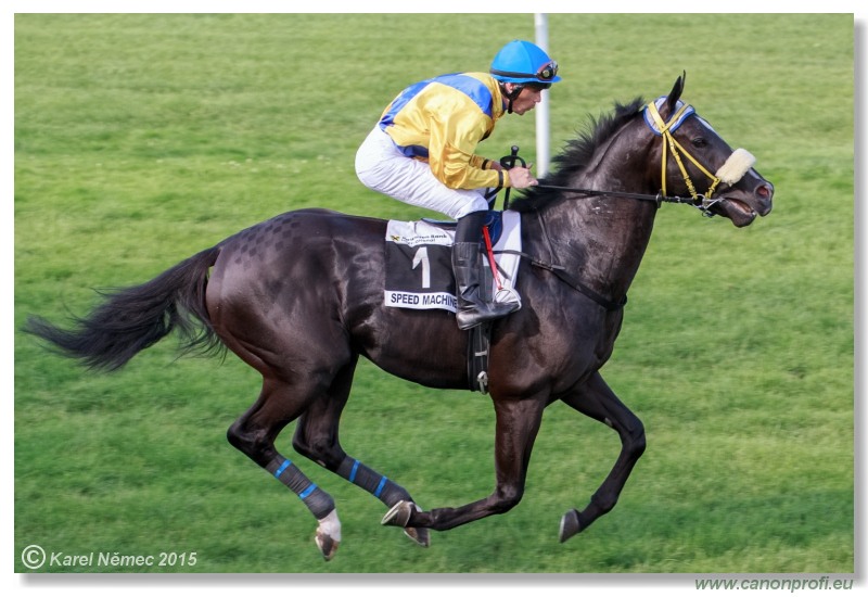 Bratislava - 19. júla 2015 