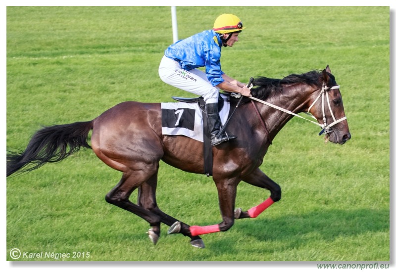 Bratislava - 19. júla 2015 