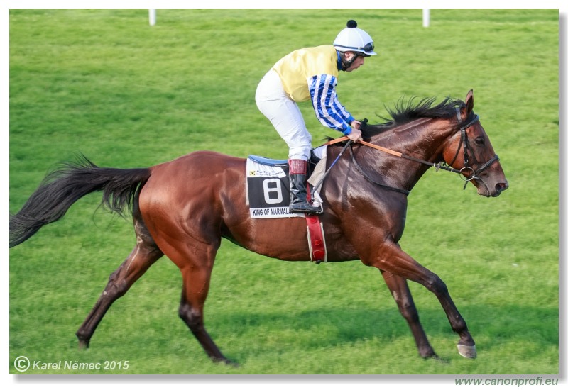 Bratislava - 19. júla 2015 