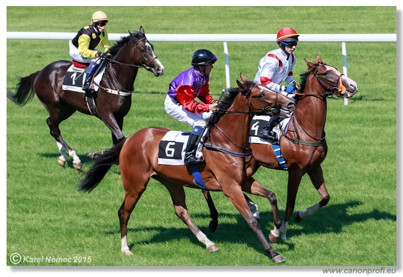 Bratislava - 30. augusta 2015 