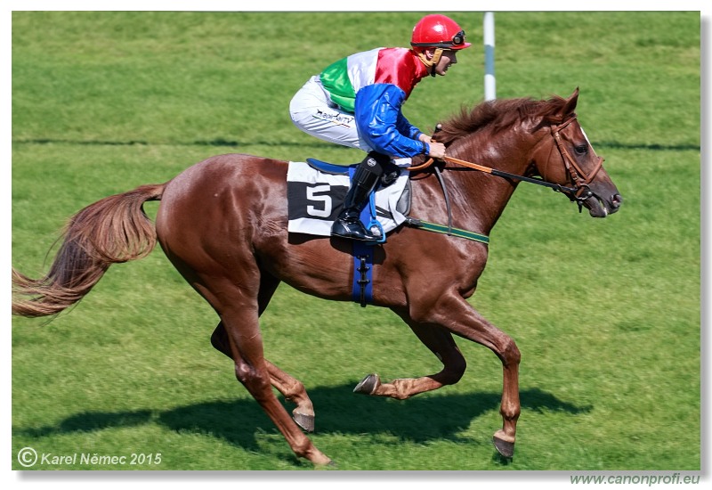 Bratislava - 30. augusta 2015 