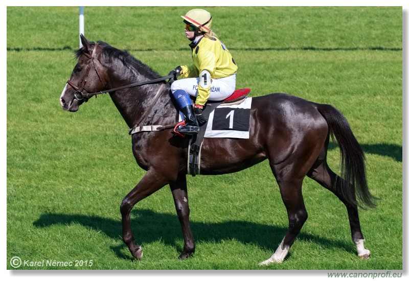Bratislava - 30. augusta 2015 