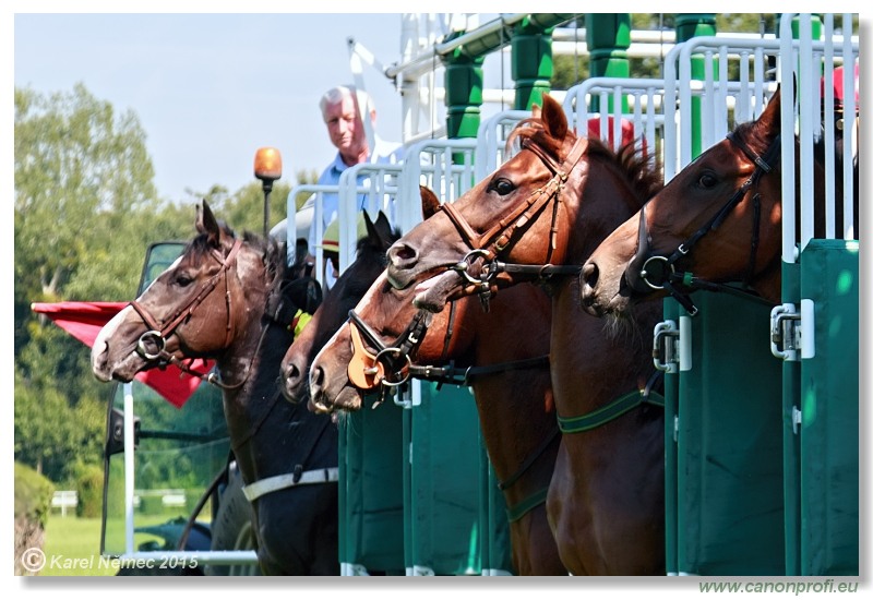 Bratislava - 30. augusta 2015 