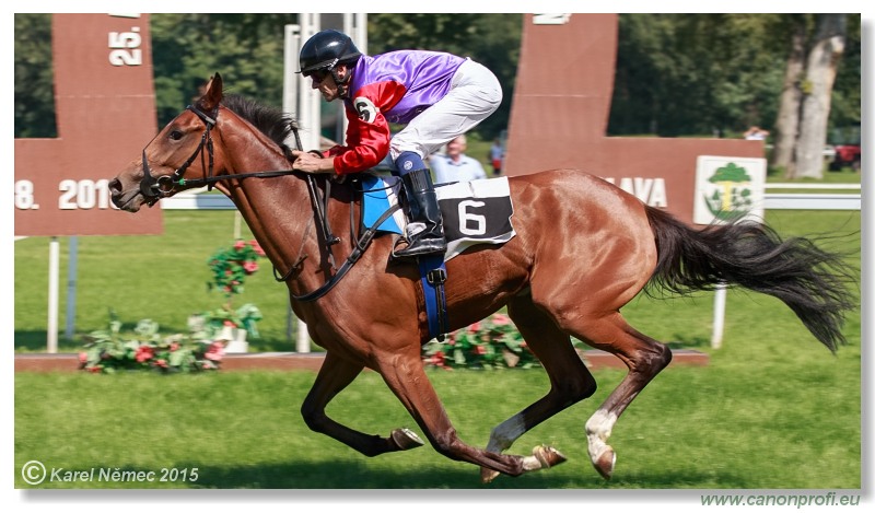 Bratislava - 30. augusta 2015 