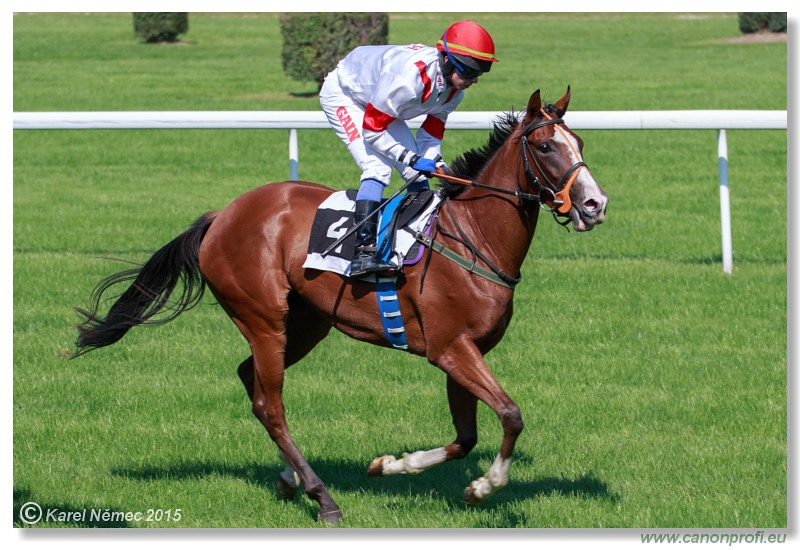 Bratislava - 30. augusta 2015 