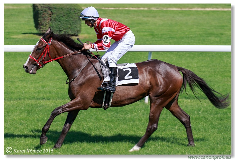 Bratislava - 30. augusta 2015 