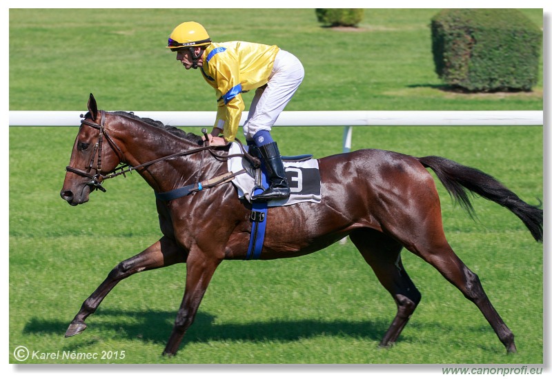 Bratislava - 30. augusta 2015 