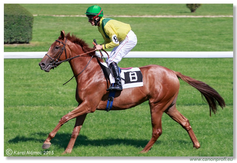 Bratislava - 30. augusta 2015 