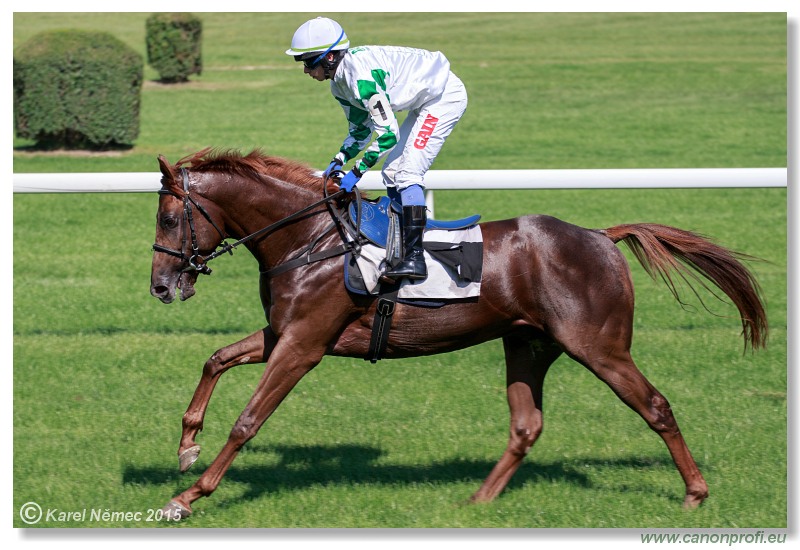 Bratislava - 30. augusta 2015 