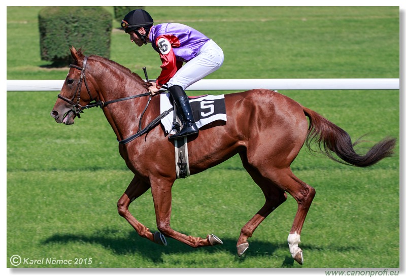 Bratislava - 30. augusta 2015 