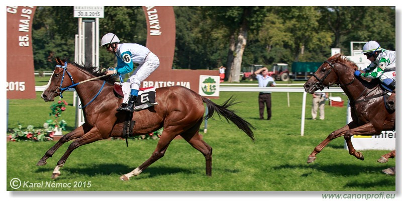 Bratislava - 30. augusta 2015 