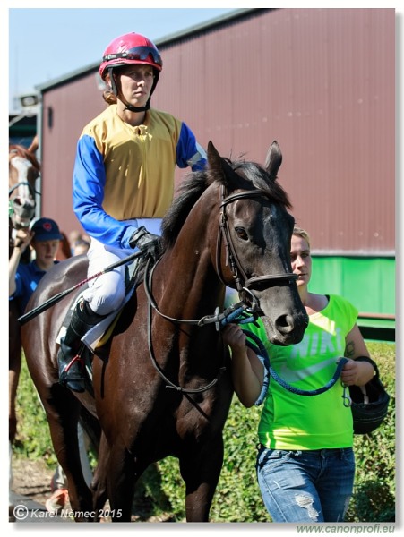 Bratislava - 30. augusta 2015 