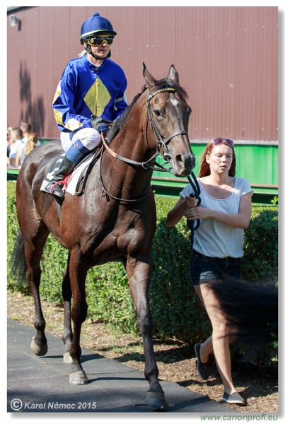 Bratislava - 30. augusta 2015 