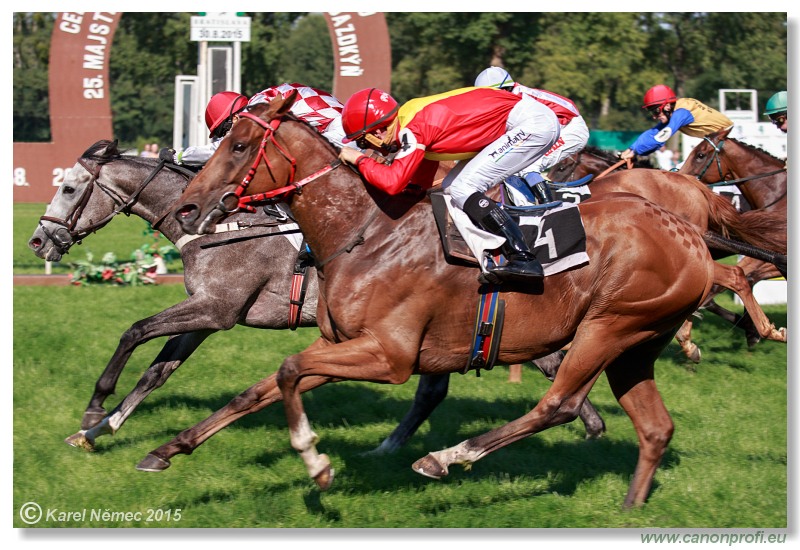 Bratislava - 30. augusta 2015 