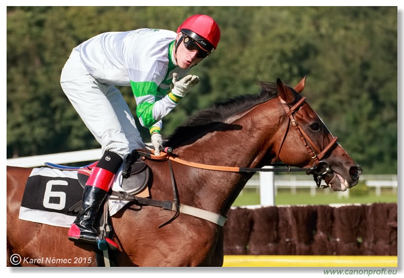 Bratislava - 30. augusta 2015 
