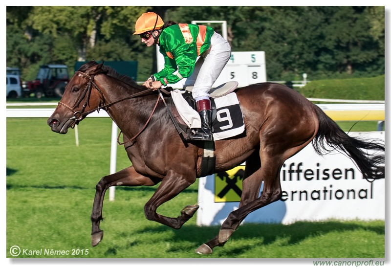 Bratislava - 30. augusta 2015 