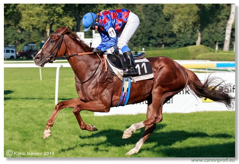 Bratislava - 30. augusta 2015 