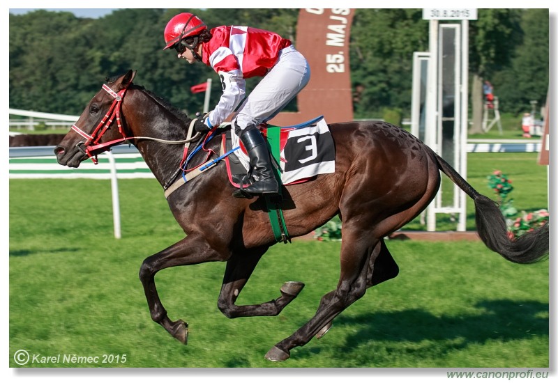Bratislava - 30. augusta 2015 
