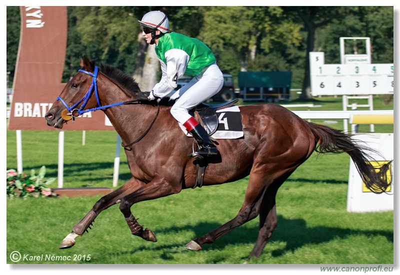 Bratislava - 30. augusta 2015 