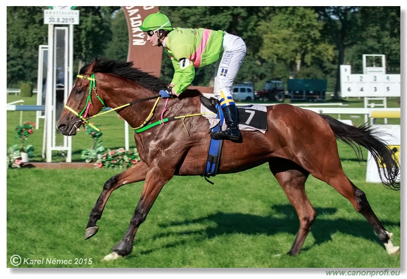 Bratislava - 30. augusta 2015 