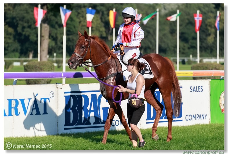 Bratislava - 30. augusta 2015 