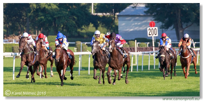 Bratislava - 30. augusta 2015 